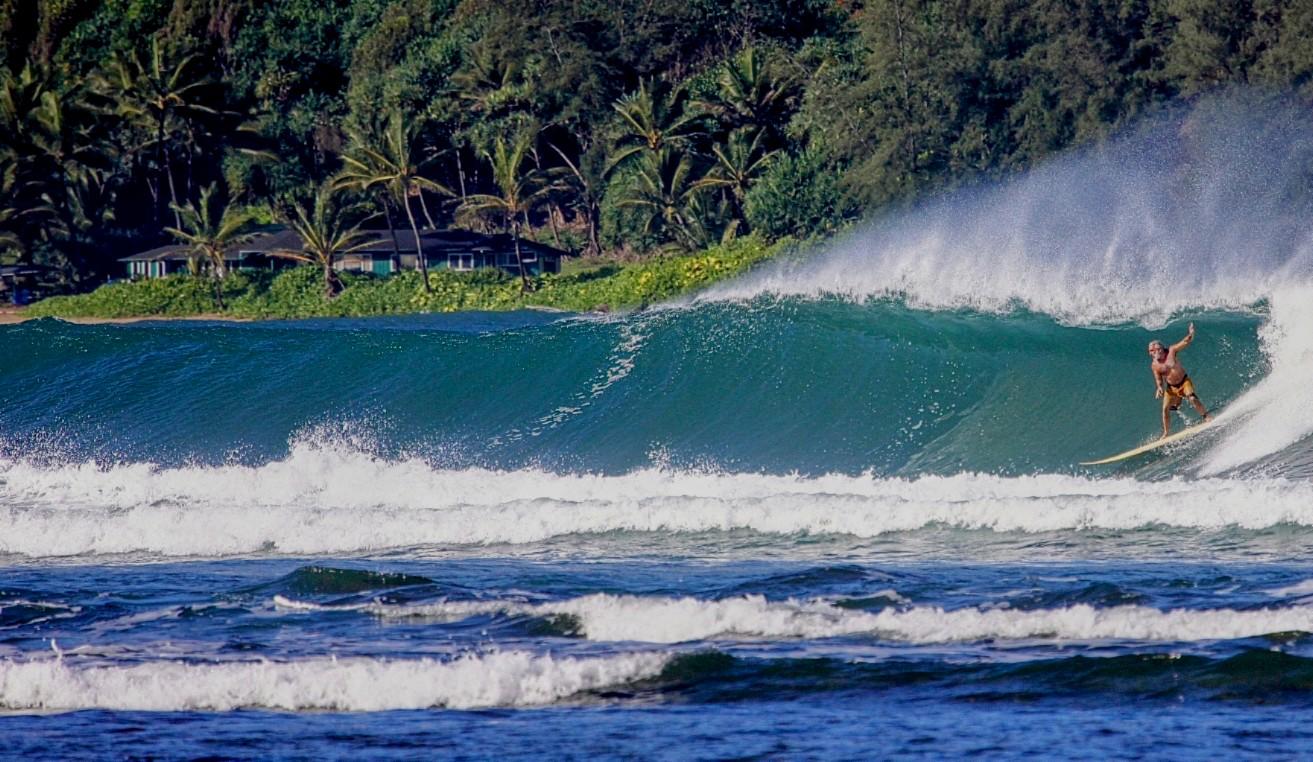 Palm-trees-surfing-miles